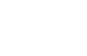 Organi di Governo